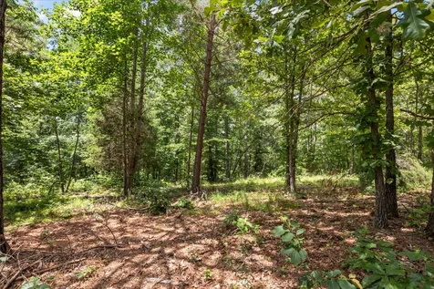 2035 Skyview Drive Centerville TN 37033
