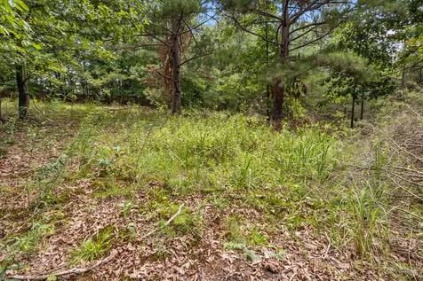 2035 Skyview Drive Centerville TN 37033
