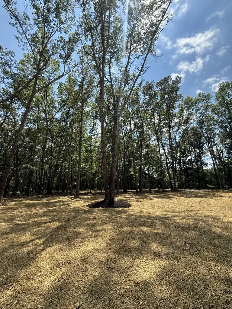 453 Dogwood Lane Manchester TN 37355