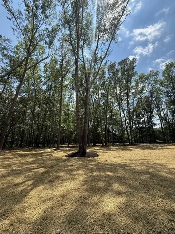 453 Dogwood Lane Manchester TN 37355