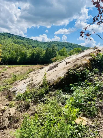 2800 Hills Creek Road Mcminnville TN 37110