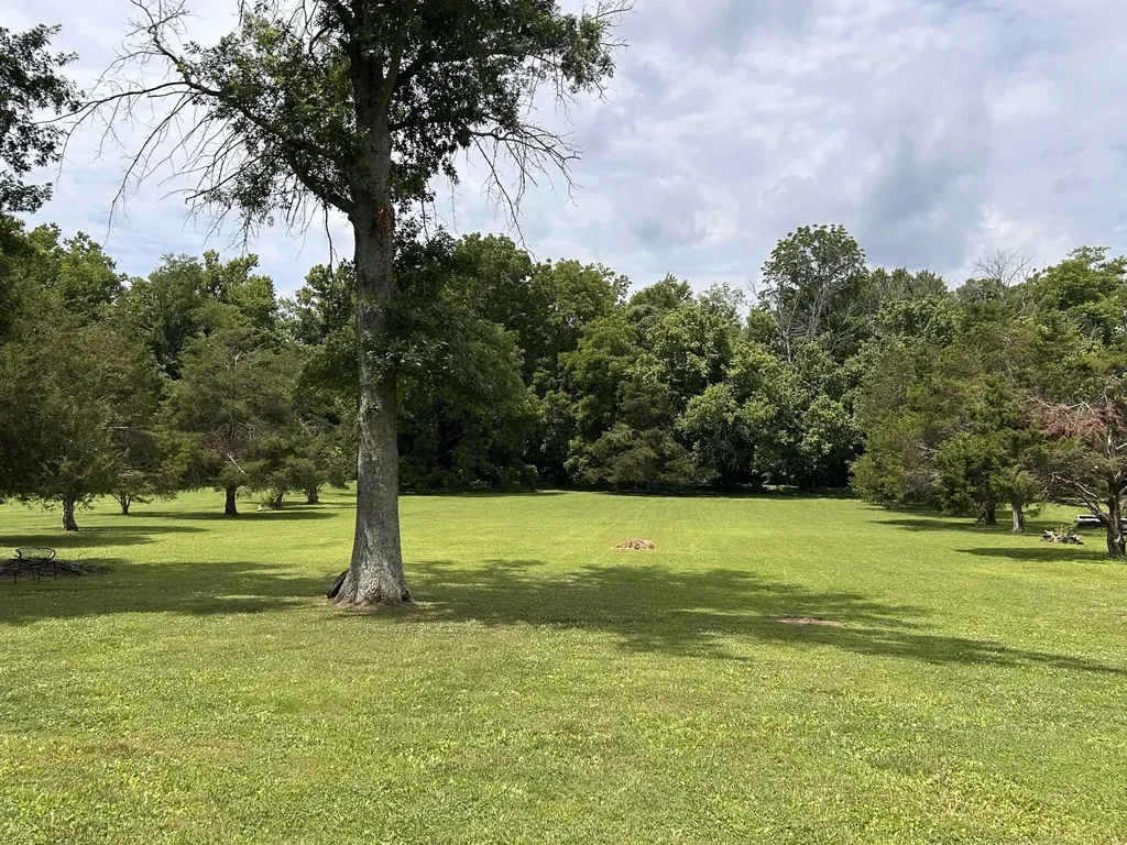 322 Alden Cove Drive Smyrna TN 37167