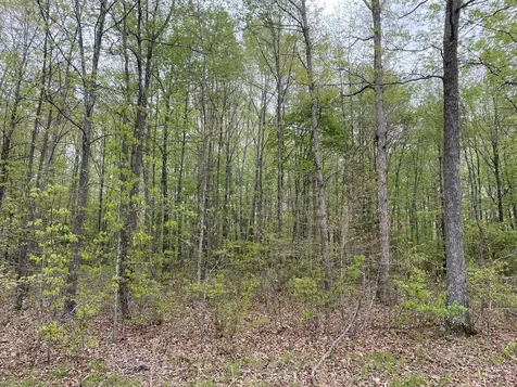 0 Eagle Loop Loretto TN 38469
