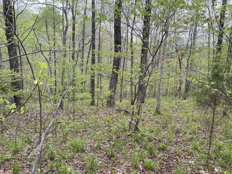 0 Eagle Loop Loretto TN 38469