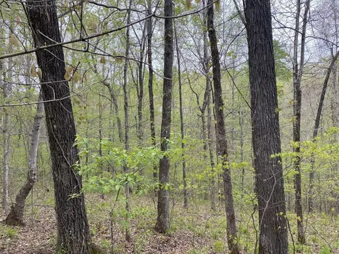 0 Eagle Loop Loretto TN 38469