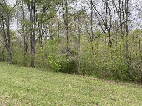 0 Eagle Loop Loretto TN 38469