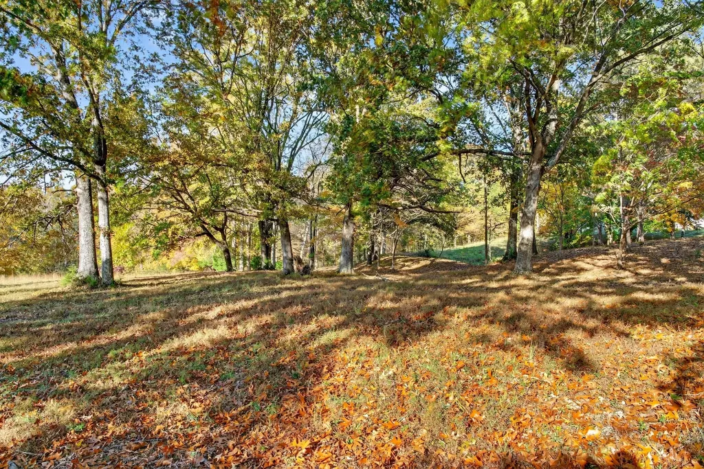 226 W Biggs Road Cottontown TN 37048