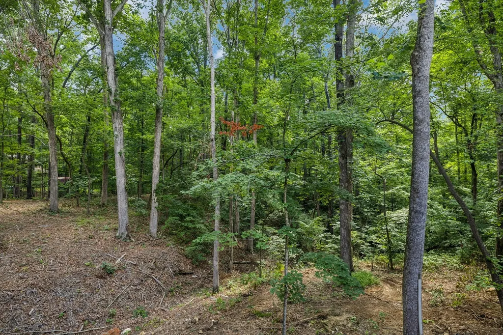1007 Pheasant Court Kingston Springs TN 37082