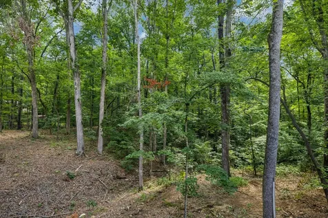 1007 Pheasant Court Kingston Springs TN 37082