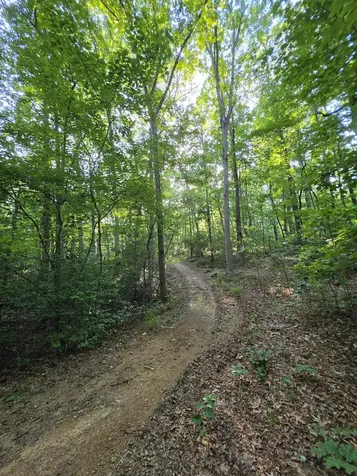 35 Chickory Lane Monteagle TN 37356
