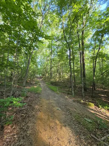 35 Chickory Lane Monteagle TN 37356