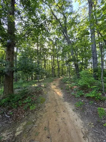 35 Chickory Lane Monteagle TN 37356