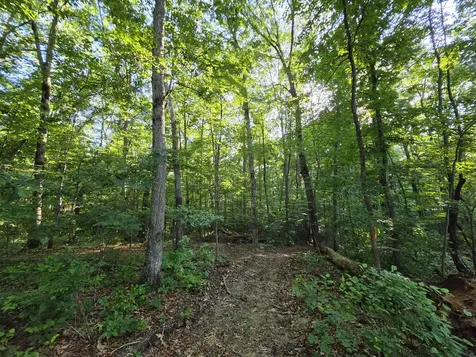 35 Chickory Lane Monteagle TN 37356