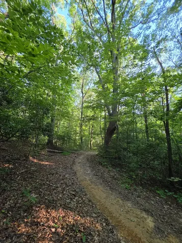 35 Chickory Lane Monteagle TN 37356