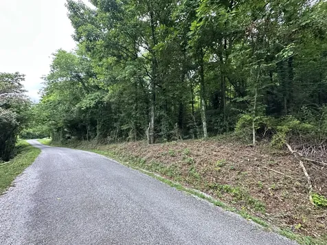 17 Hackett Valley Road Hickman TN 38567