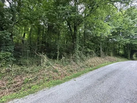 17 Hackett Valley Road Hickman TN 38567