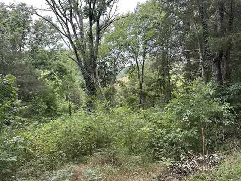 17 Hackett Valley Road Hickman TN 38567