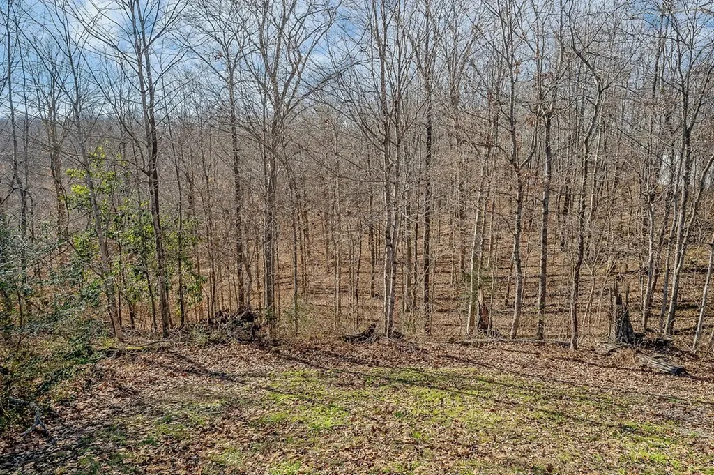 94 Cummins Court Celina TN 38551
