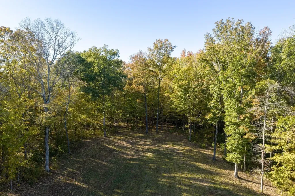 7483 Liberty Road Fairview TN 37062