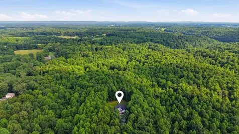 209 Tree Hill Lane Lynchburg TN 37352