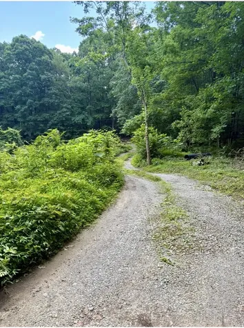 1431 Roarks Cove Road Sewanee TN 37375