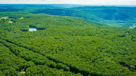 0 Deep Woods Road Sewanee TN 37375