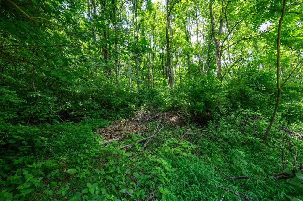 6020 Murray Lane Brentwood TN 37027