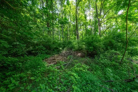 6020 Murray Lane Brentwood TN 37027