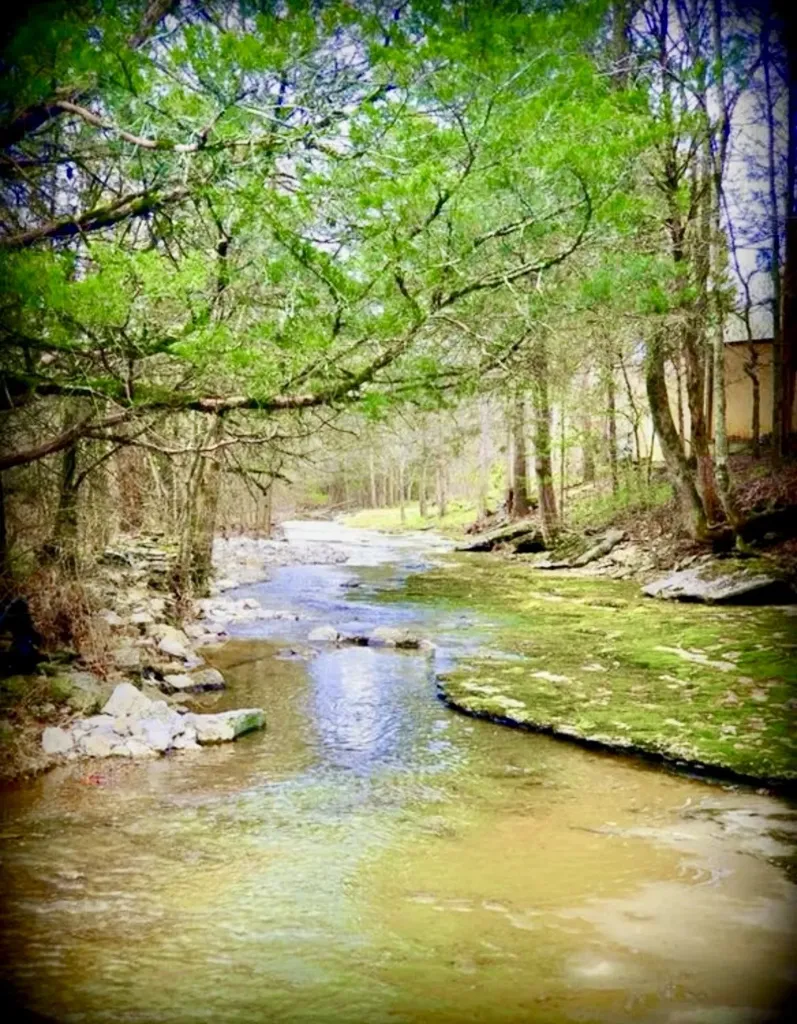 42 Paradise Hills Lane Lebanon TN 37090