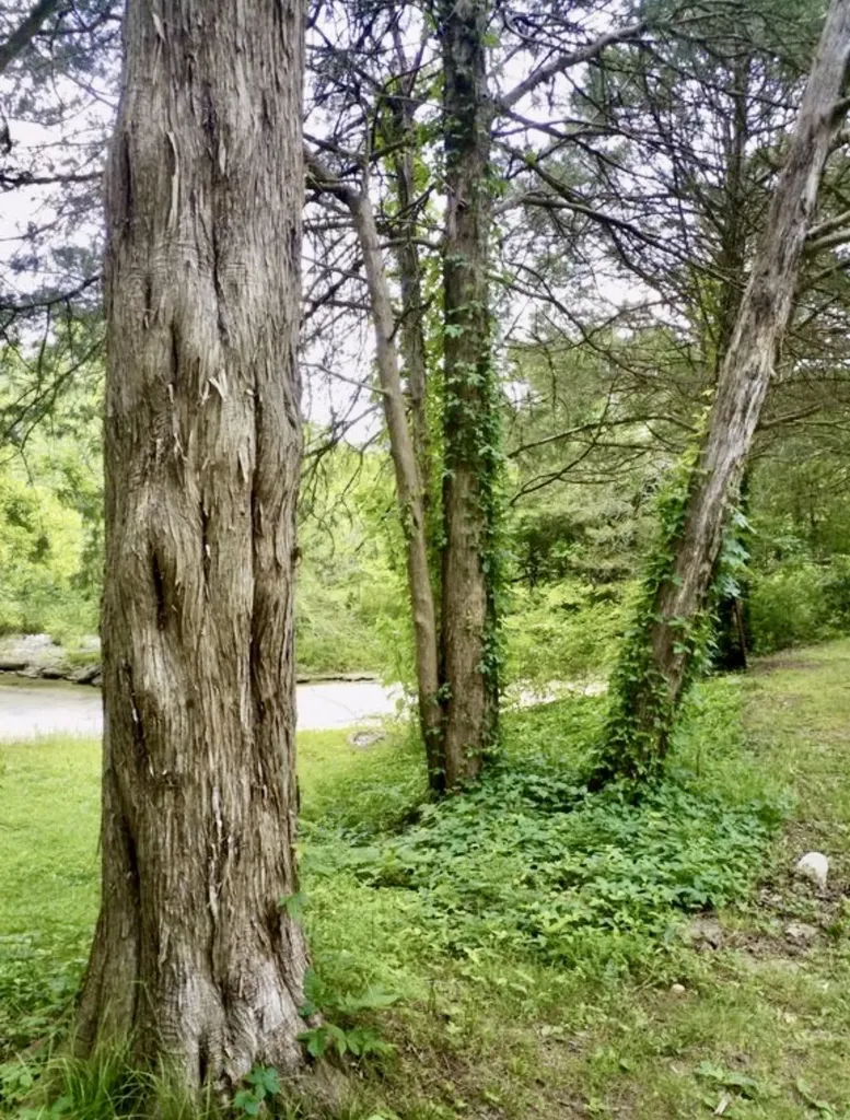 42 Paradise Hills Lane Lebanon TN 37090
