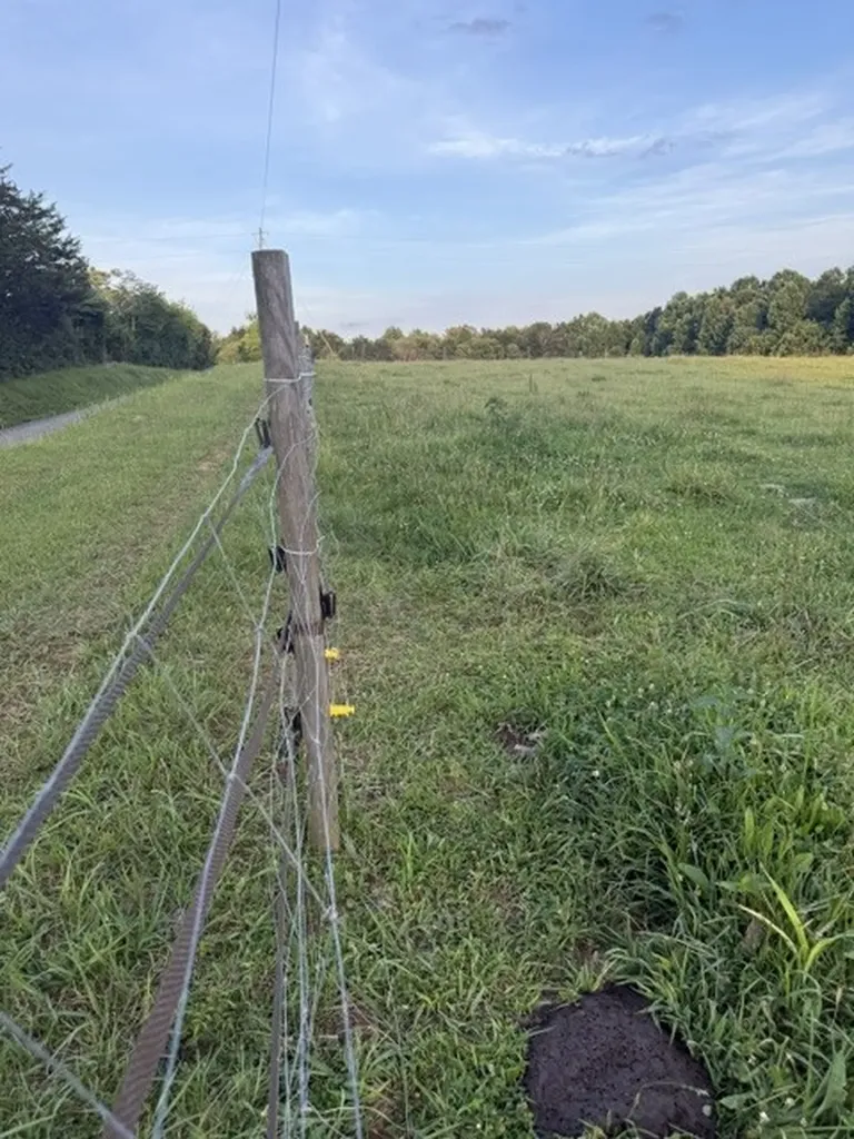 566 Locke Bend Road Mc Minnville TN 37110