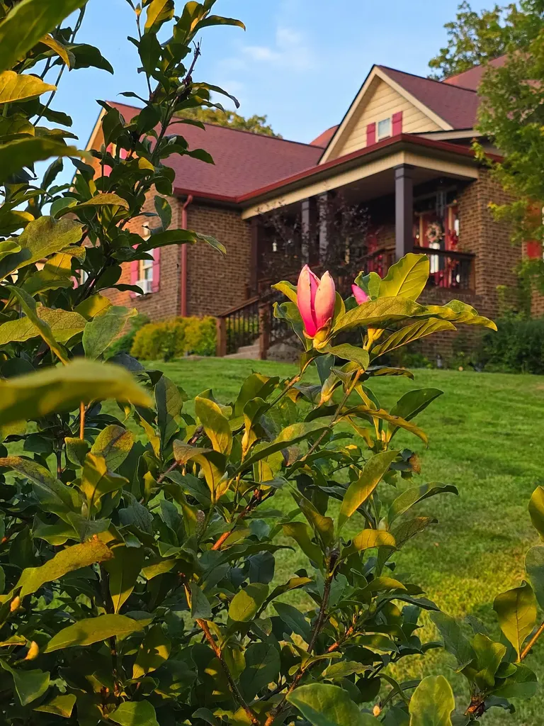 104 Yates Drive Bon Aqua TN 37025