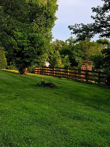 104 Yates Drive Bon Aqua TN 37025