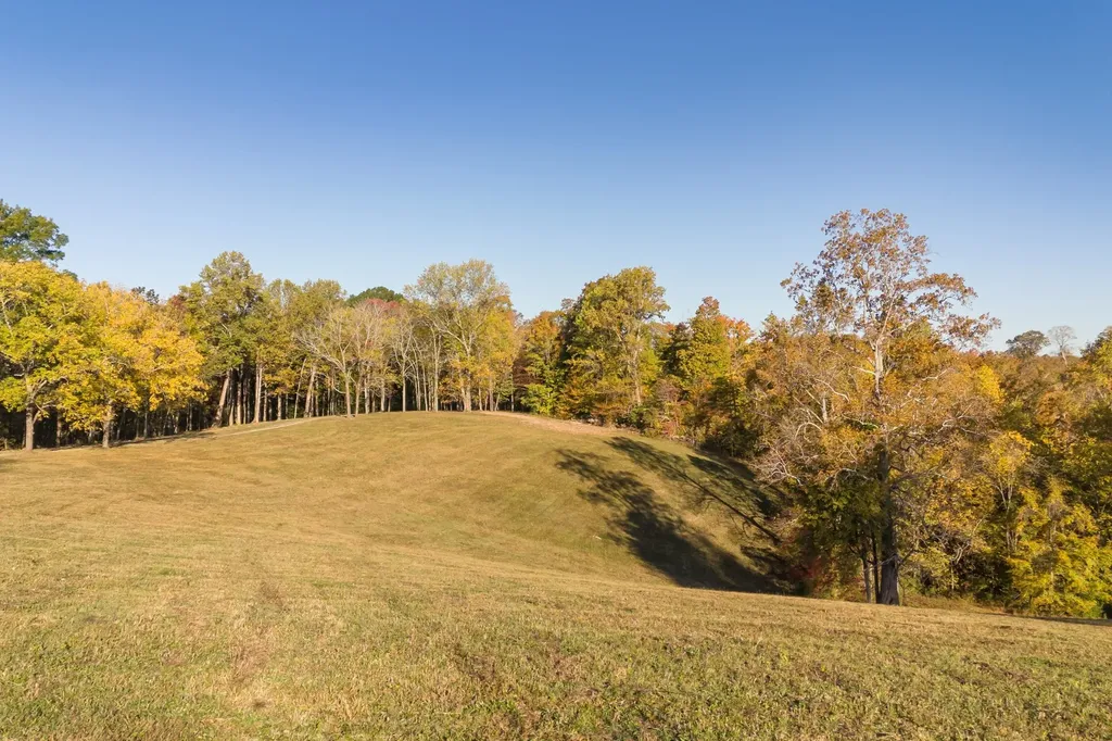 3899 Boston Theta Road Thompsons Station TN 37179