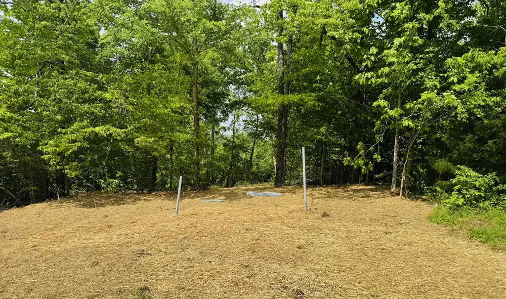 3899 Boston Theta Road Thompsons Station TN 37179