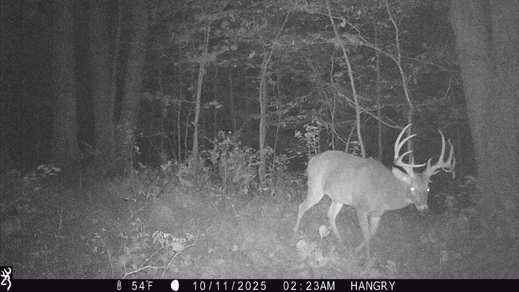 3899 Boston Theta Road Thompsons Station TN 37179