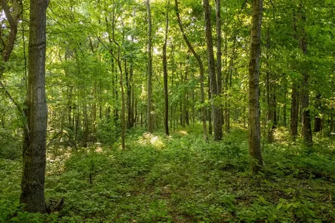 3899 Boston Theta Road Thompsons Station TN 37179