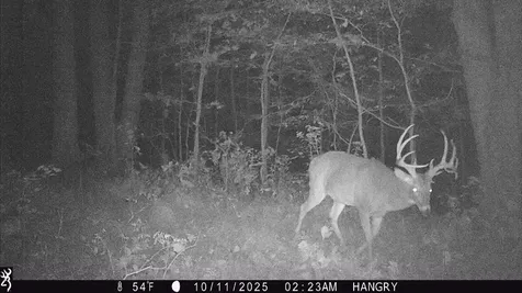 3899 Boston Theta Road Thompsons Station TN 37179