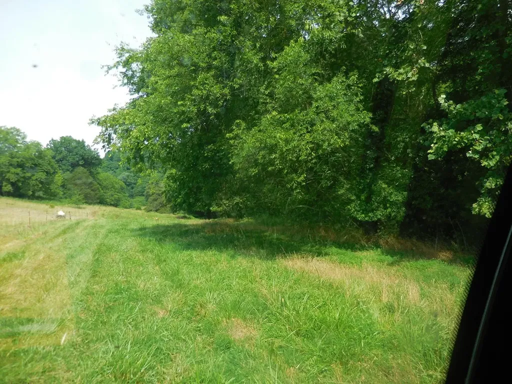 0 Flynns Lick Lane Gainesboro TN 38562