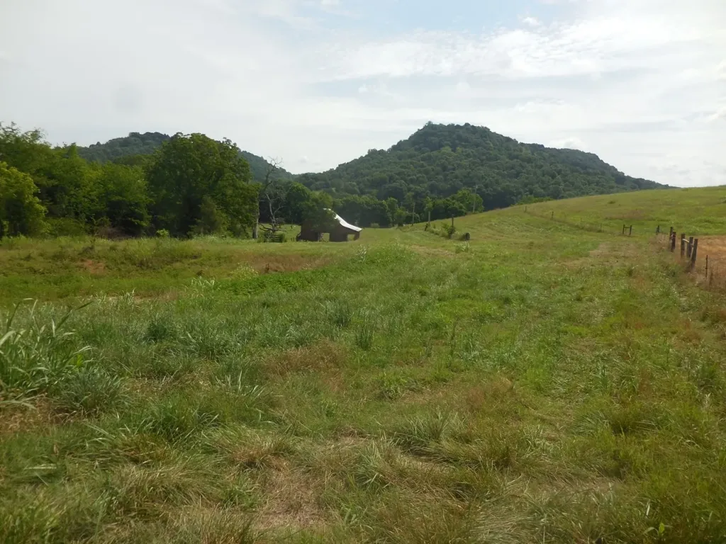 0 Flynns Lick Lane Gainesboro TN 38562