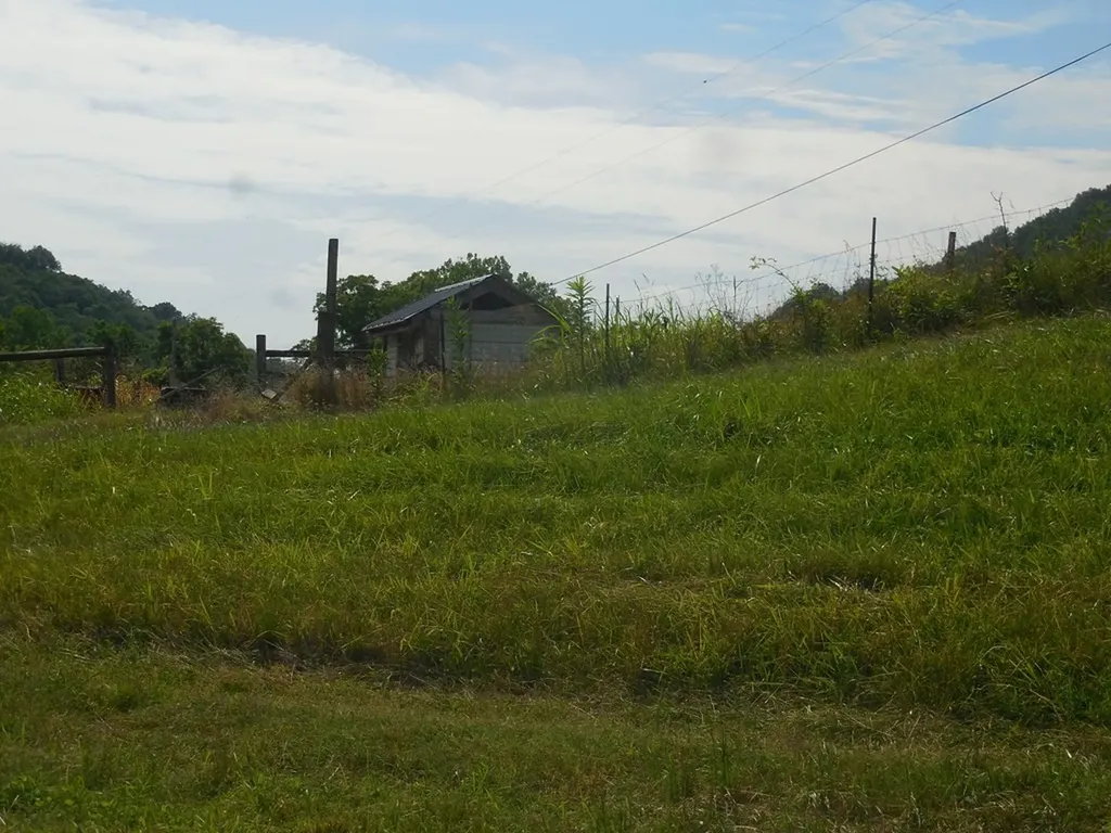 0 Flynns Lick Lane Gainesboro TN 38562