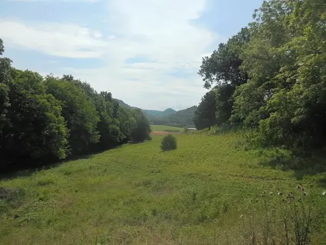 0 Flynns Lick Lane Gainesboro TN 38562