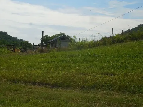 0 Flynns Lick Lane Gainesboro TN 38562