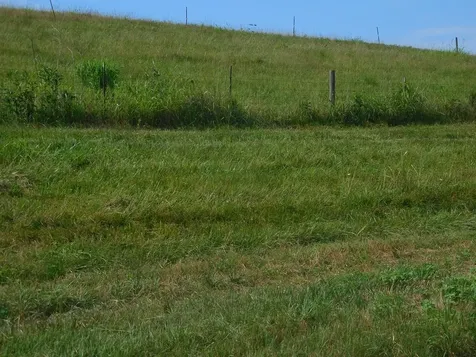 0 Flynns Lick Lane Gainesboro TN 38562