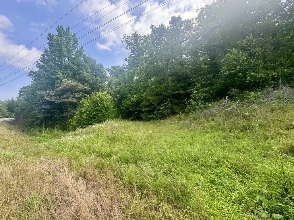 0 Highway 13 S Waverly TN 37185