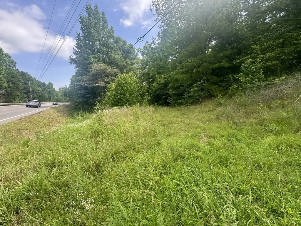 0 Highway 13 S Waverly TN 37185