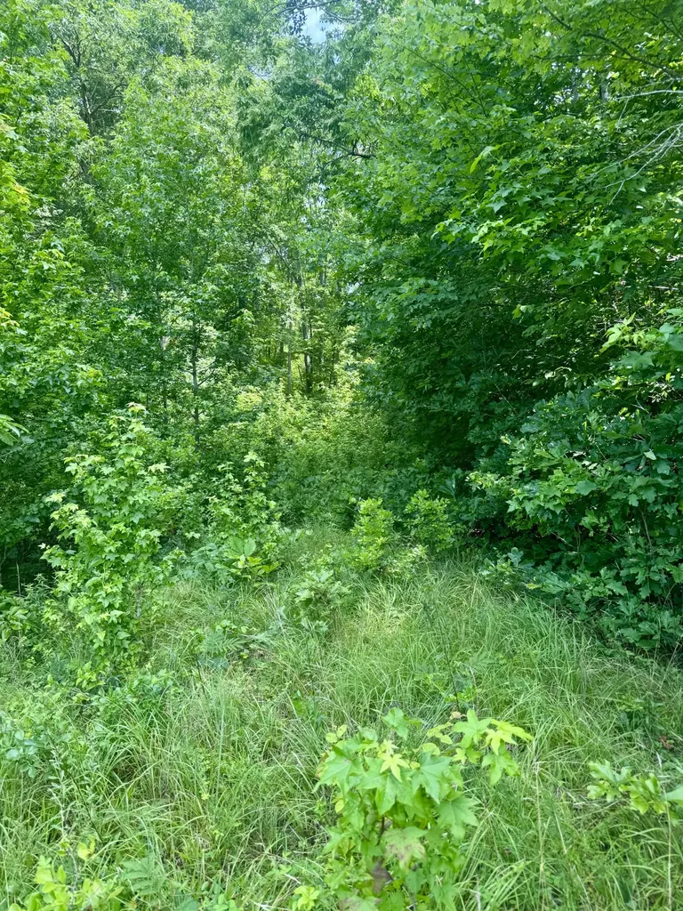 0 Highway 13 S Waverly TN 37185