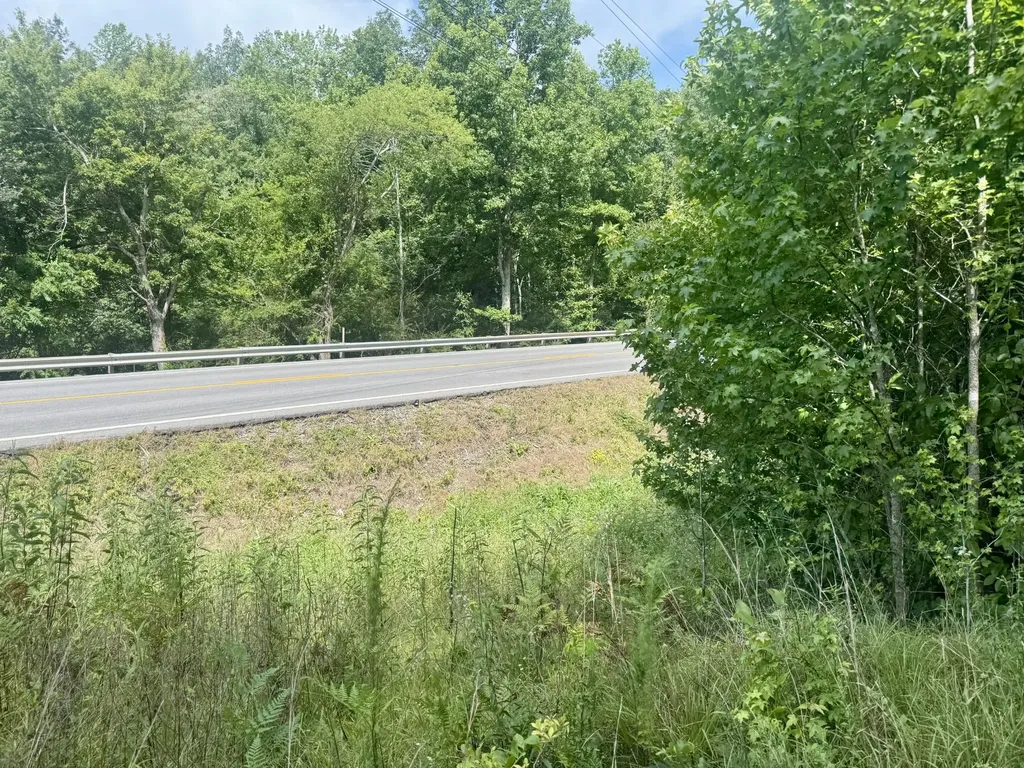 0 Highway 13 S Waverly TN 37185
