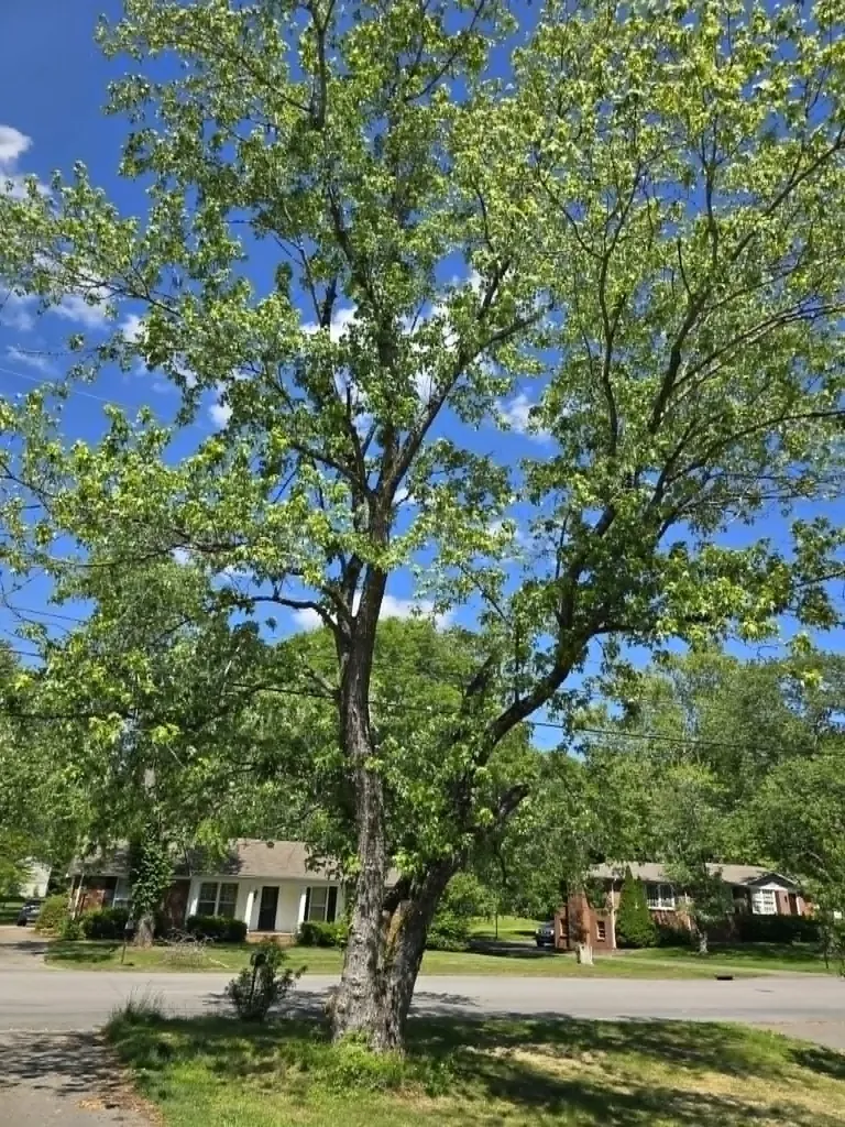 605 Harpeth Pkwy, E Nashville TN 37221