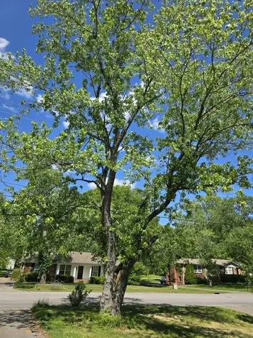 605 Harpeth Pkwy, E Nashville TN 37221